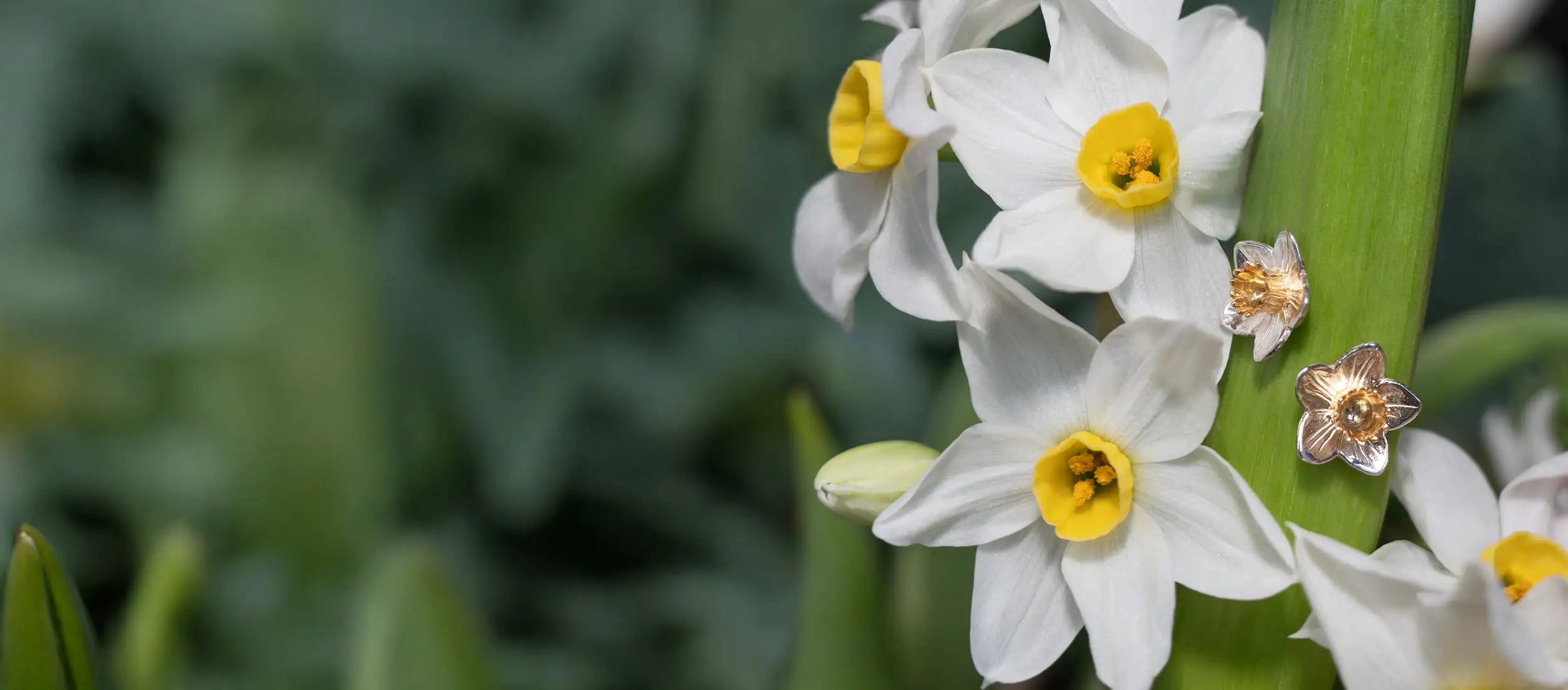 Narcissus Daffodil Earrings - Daffodil Jewellery